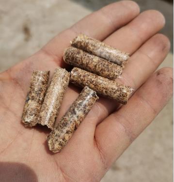 ��ľ����