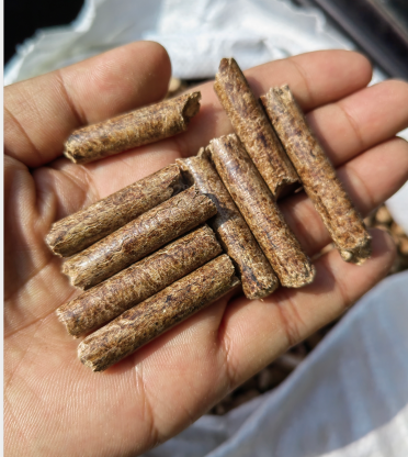 ����ȼ��