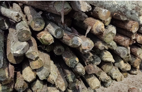 ʵľ����ԭ��