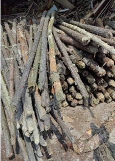 ʵľ����ԭ��