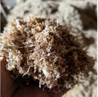 ʵľ����ԭ��